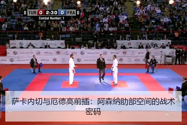 sa-ka-nei-qie-yu-e-de-gao-qian-cha-a-sen-na-le-bu-kong-jian-de-zhan-shu-mi-ma-2-178.jpg